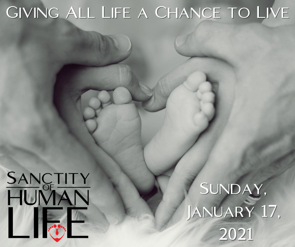 Home Page Sanctity of Life Sunday