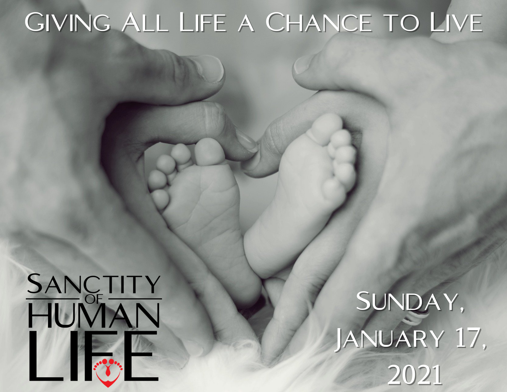 Package 3 Sanctity of Life Sunday