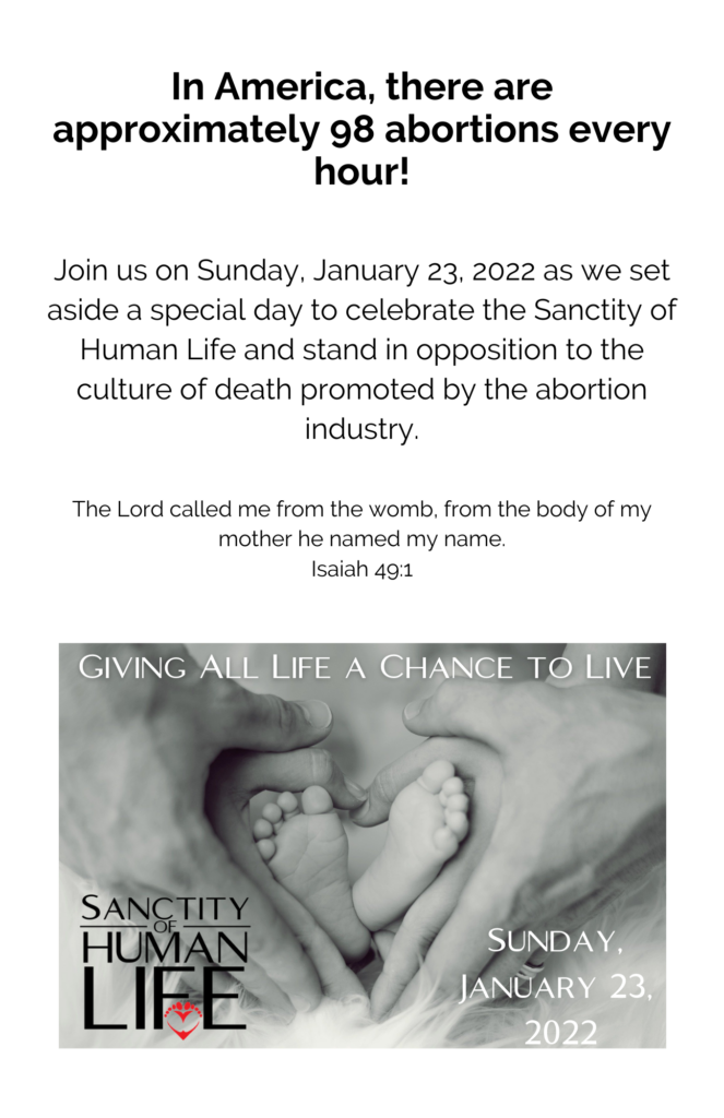 Package 3 - Sanctity Of Life Sunday