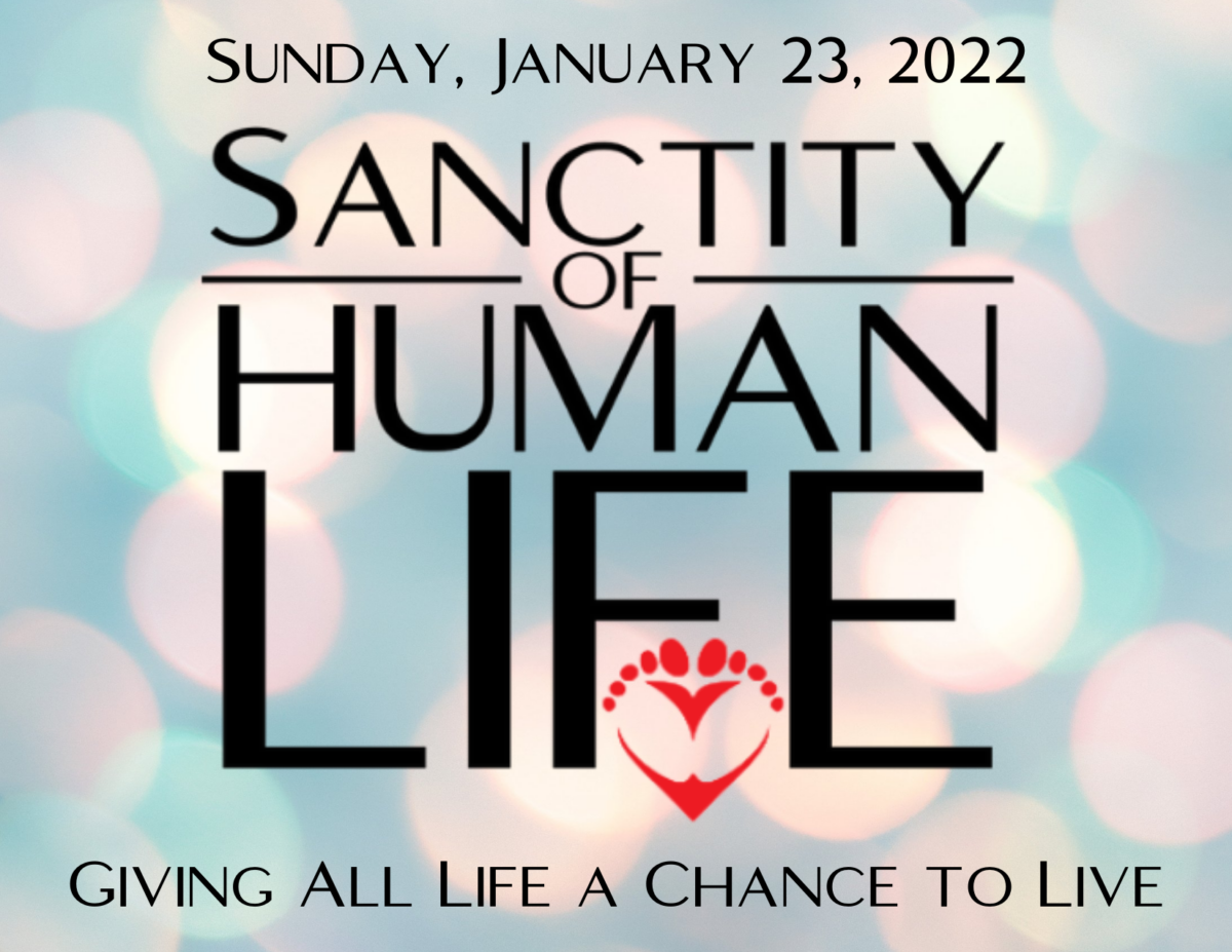 Home Page - Sanctity of Life Sunday